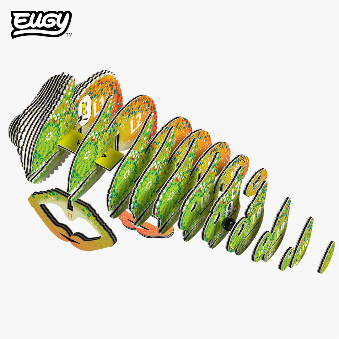 יוגי להרכבה - זיקית