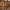 18102---18104---Sticky-Lemon---socks---farmhouse---check-soil-green---pears---product-style-shot-02-_1