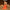 18105---Sticky-Lemon---Socks---farmhouse---check-ladybird-red---style-shot-04