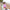 BB23-Lifestyle-01-162