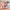 Flower_Filled_Meadow_00012-(2)