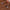Poconido_AW2017743