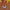 Poconido_AW2018113