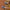 Poconido_AW2018179