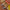 Poconido_AW2018183