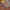 Poconido_AW2018352