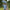 Raincoat_elephant_006_1