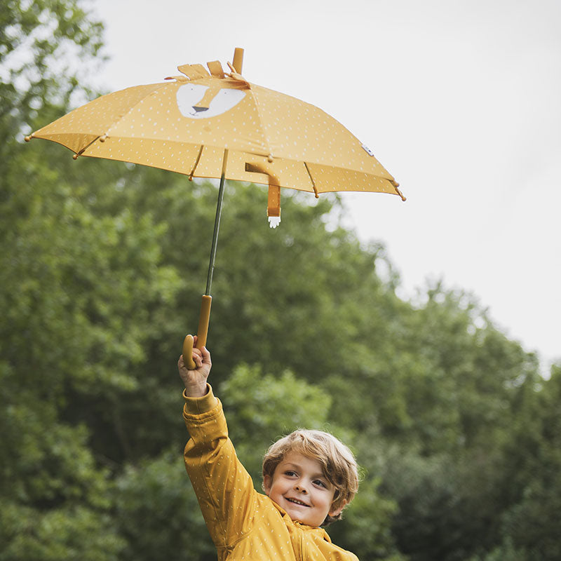 Raincoat_lion_010_1