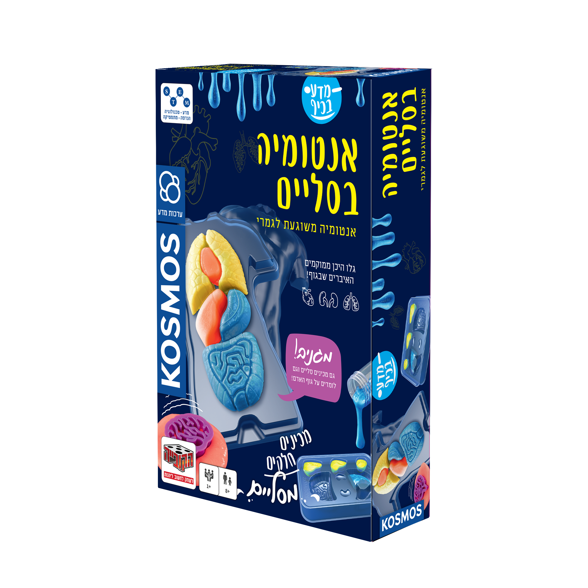 ערכת מדע בכיף - אנטומיה בסליים