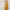 Trixie_15_066 (1)