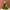 Trixie_25_201_03