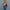 Trixie_25_507_06