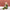 Trixie_25_773_01