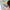 Trixie_35_614_07