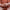 Trixie_36_137_05-1-1