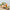Trixie_36_494_06