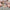 Trixie_36_523_01