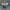 Trixie_36_737_01