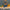 Trixie_36_737_02