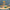 Trixie_36_737_04