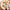 Trixie_36_737_07
