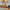 Trixie_36_740_03