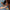 Trixie_36_740_06