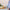 Trixie_36_740_07