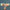 Trixie_36_809_01