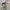 Trixie_36_809_07
