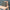 Trixie_cardboardtoys_004