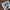Trixmas_00002 (1)