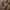Trixmas_00014-2