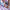 YOGiFUN_YF-005_dice_12