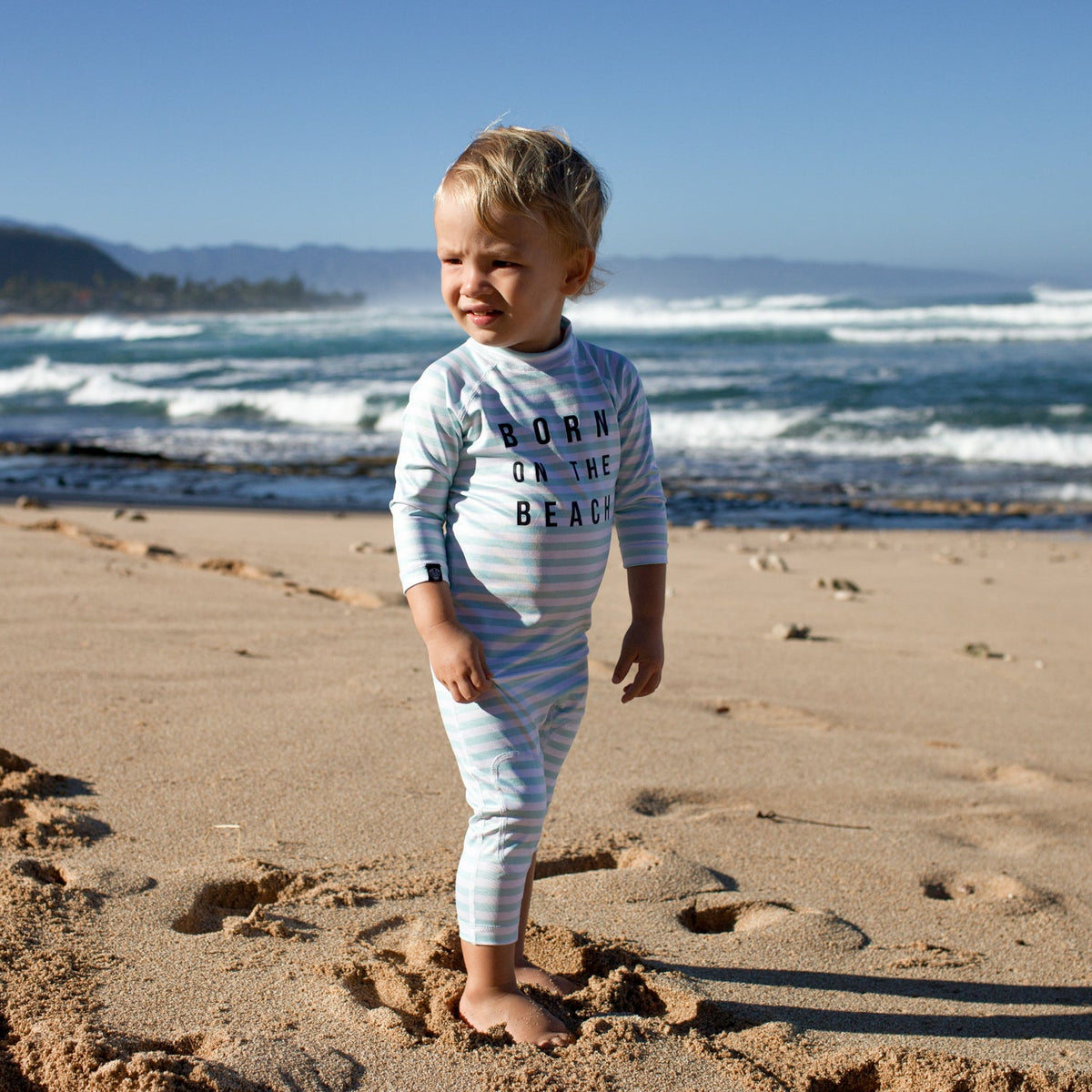 beachboy-image