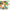 ezgif-5-0b48707c4f