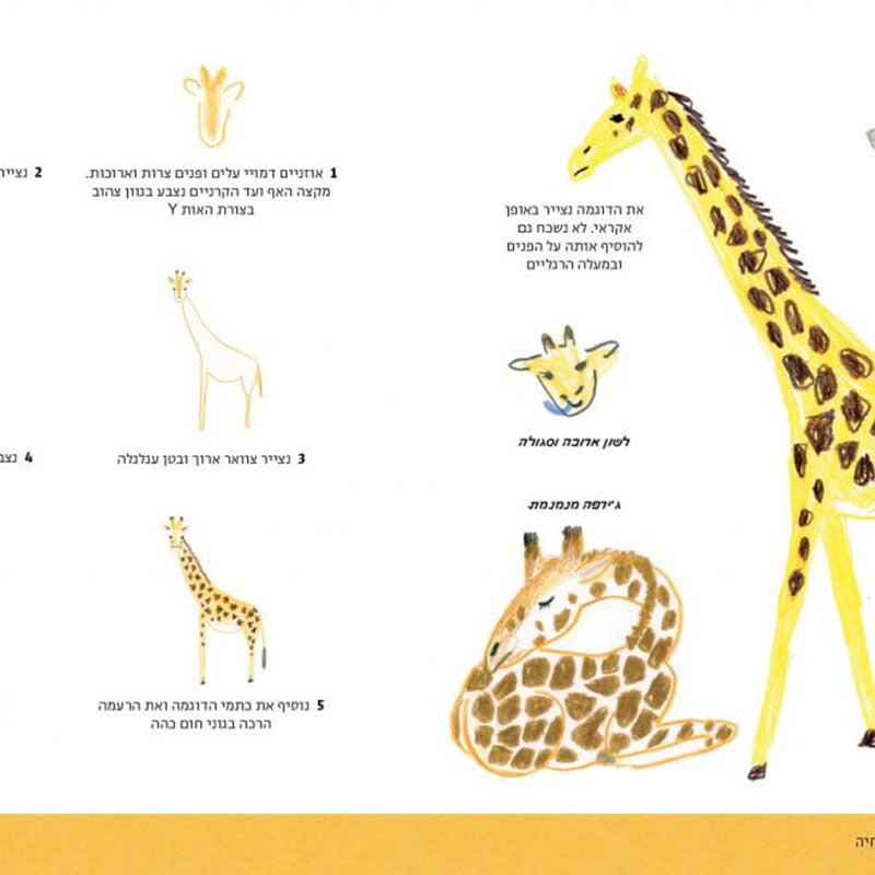 how-to-draw-every-animal-hebrew49-1024x655_1