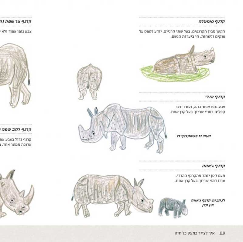 how-to-draw-every-animal-hebrew60-1024x655_1