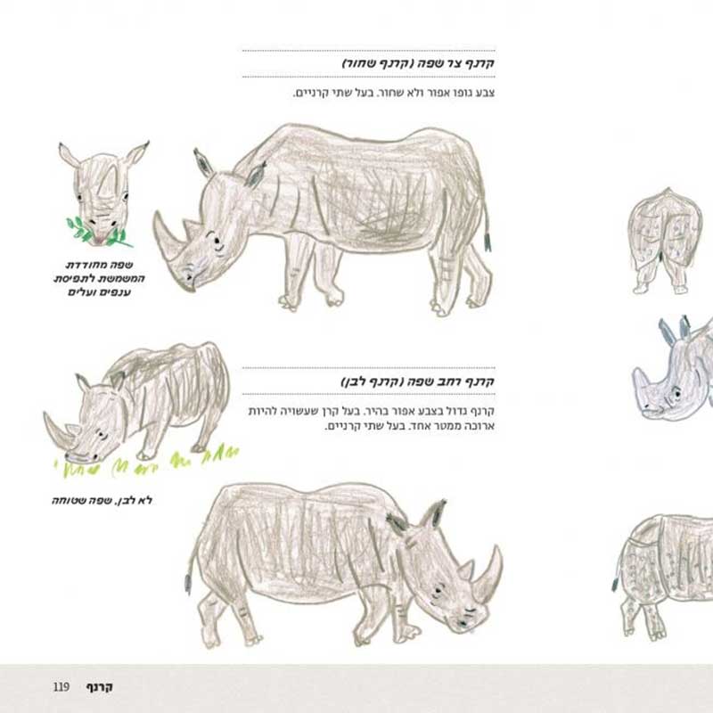 how-to-draw-every-animal-hebrew60-1024x655_11