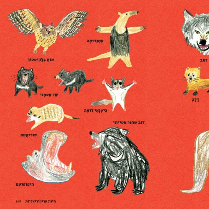 how-to-draw-every-animal-hebrew75-1024x655_1