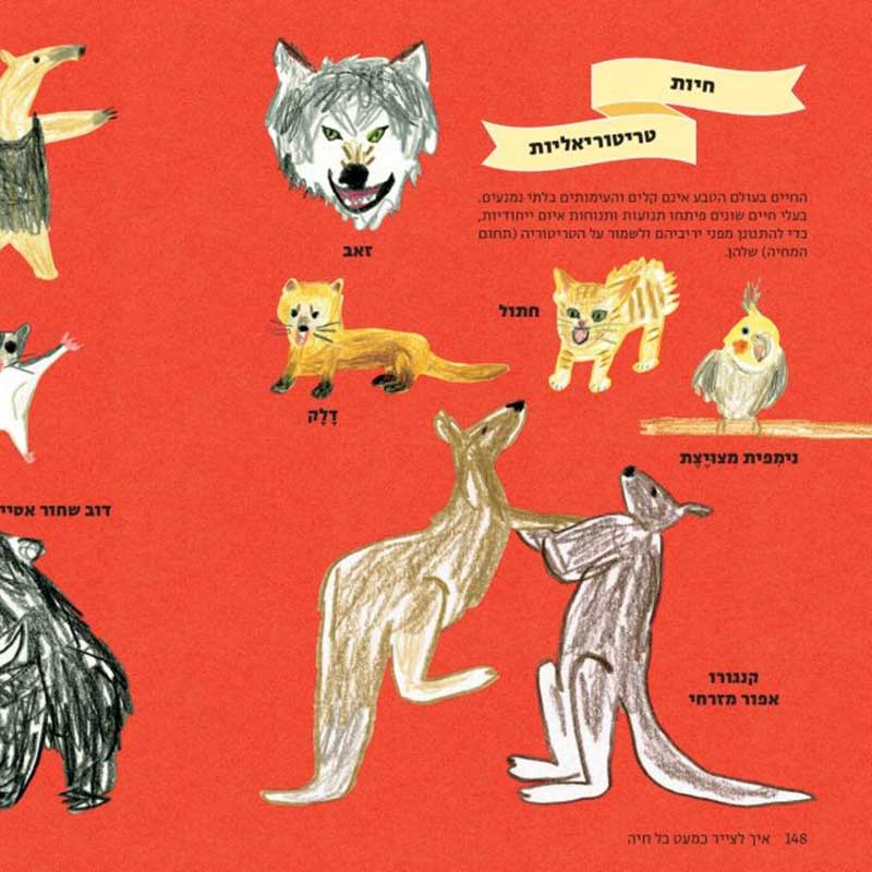 how-to-draw-every-animal-hebrew75-1024x655_11