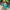 lagune-swimshort-image