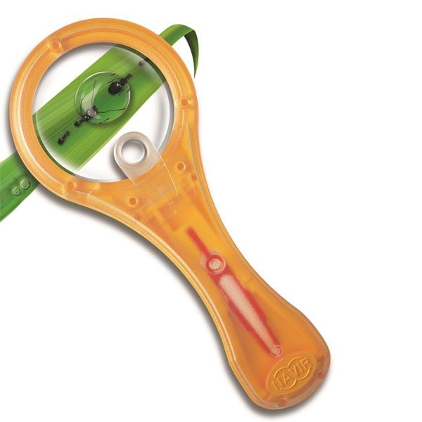 עדשה וזכוכית מגדלת