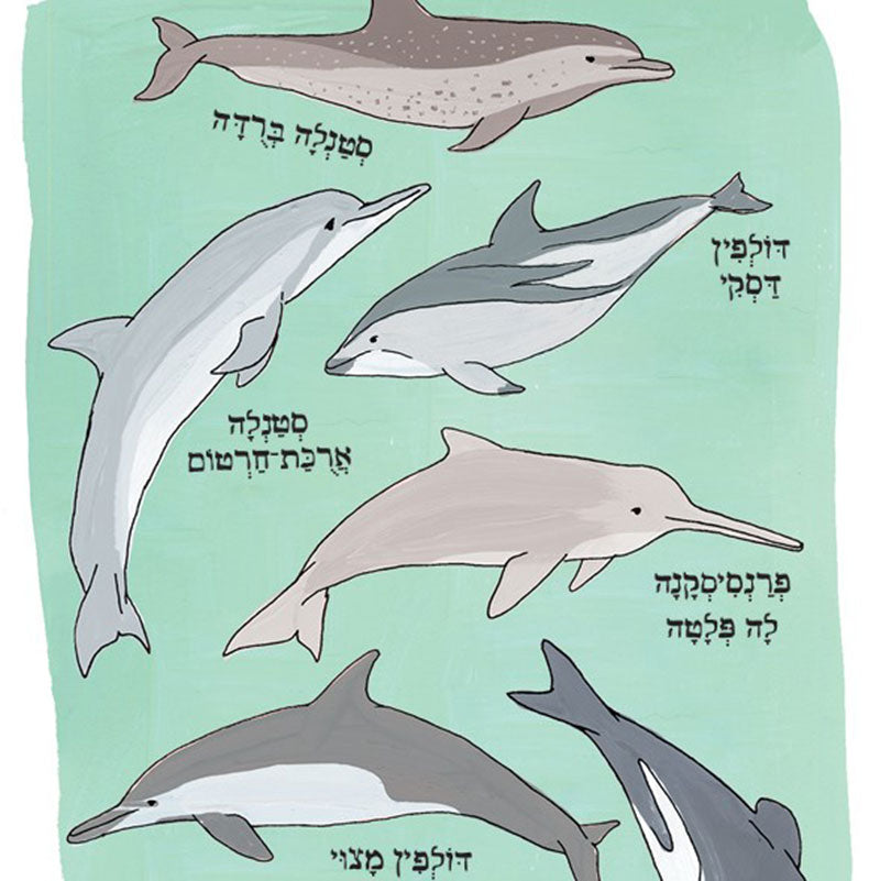 ocean-anatomy-postcard5