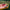summerlover-03