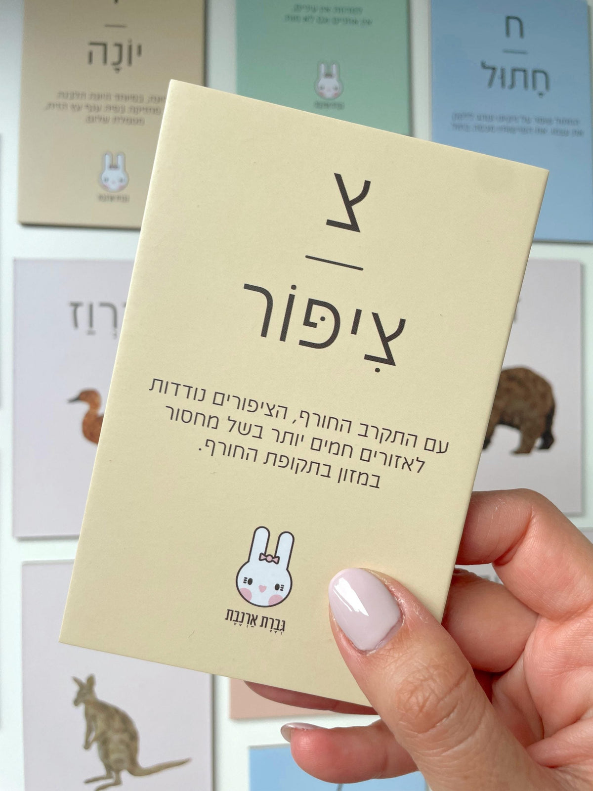 כרטיסיות חיות א'-ב'