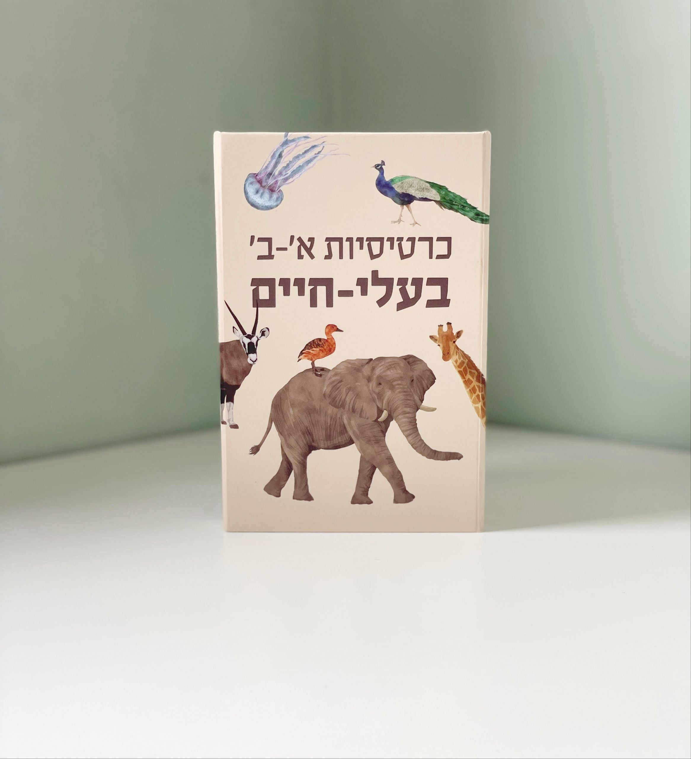 כרטיסיות חיות א'-ב'